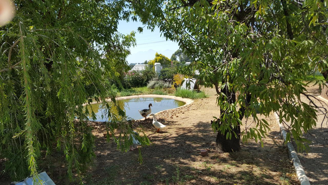 Merindol Manor Riebeek-West Bagian luar foto