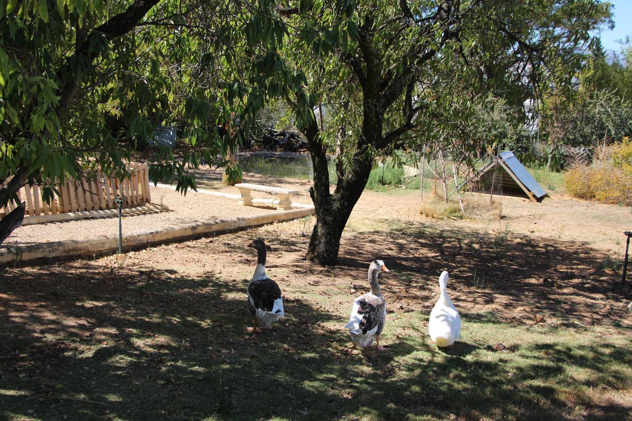 Merindol Manor Riebeek-West Bagian luar foto